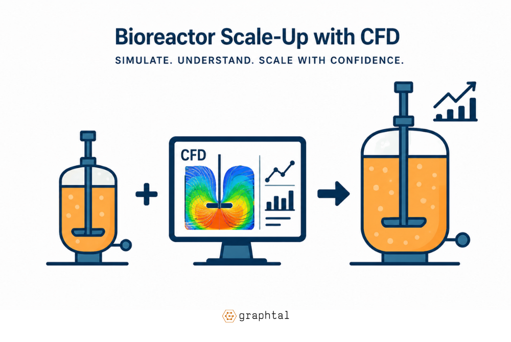 How CFD De-Risks Bioreactor Scale-Up: From Bench to 1000L
