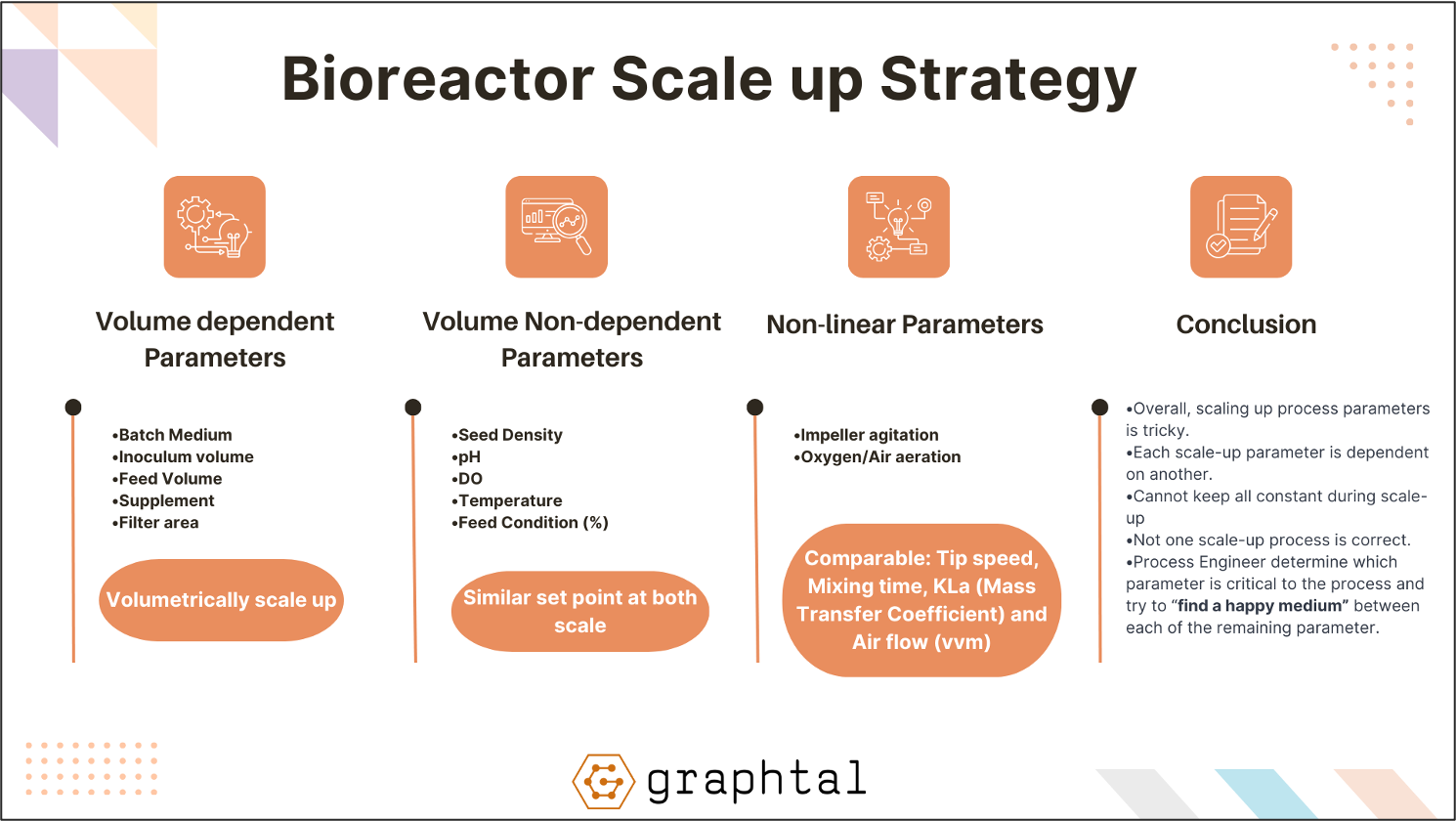 Bioreactor Scale-Up Strategy